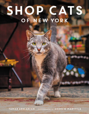 Image of Shop Cats of New York