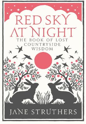 Cover: Red Sky at Night