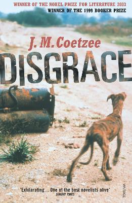 Cover: Disgrace