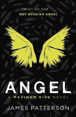 Cover: Angel: A Maximum Ride Novel
