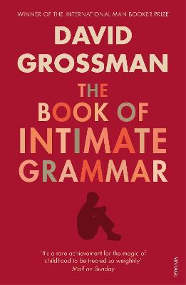Cover: The Book Of Intimate Grammar
