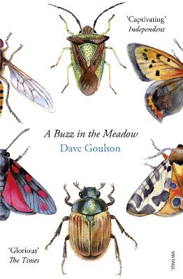 Cover: A Buzz in the Meadow