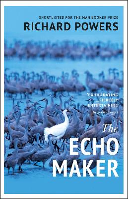 Cover: The Echo Maker