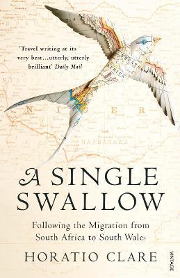 Image of A Single Swallow