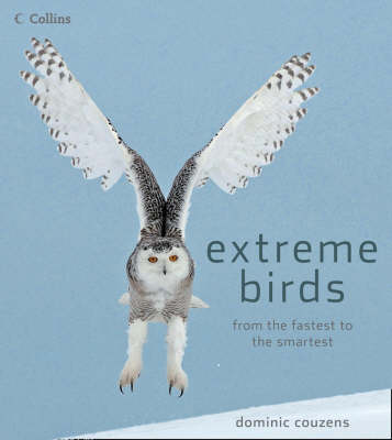 Image of Extreme Birds