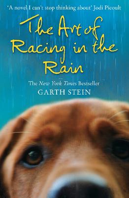 Cover: The Art of Racing in the Rain