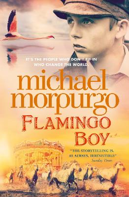 Cover: Flamingo Boy
