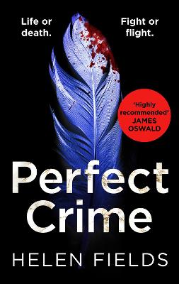 Cover: Perfect Crime