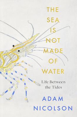 Cover: The Sea is Not Made of Water