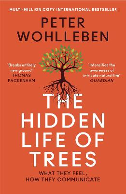 Cover: The Hidden Life of Trees
