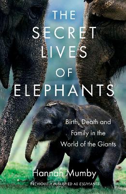 Cover: The Secret Lives of Elephants