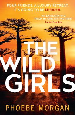 Cover: The Wild Girls