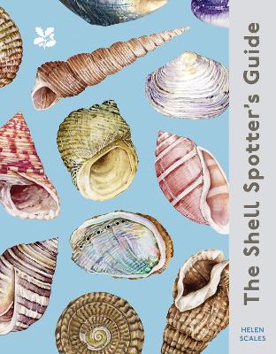 Image of The Shell Spotter's Guide