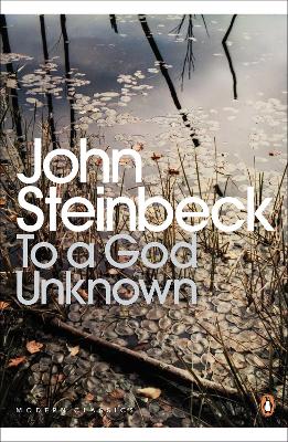 Cover: To a God Unknown