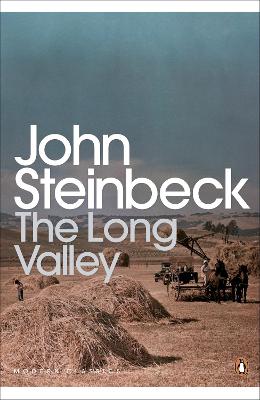 Cover: The Long Valley