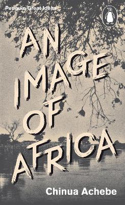 Cover: An Image of Africa
