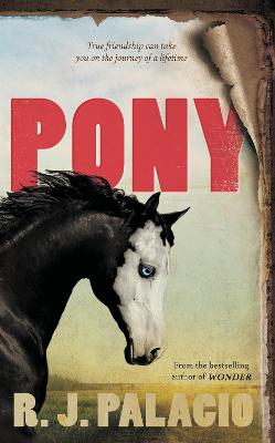 Cover: Pony