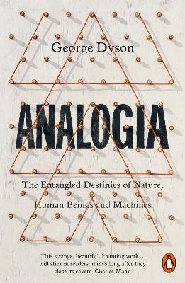 Cover: Analogia
