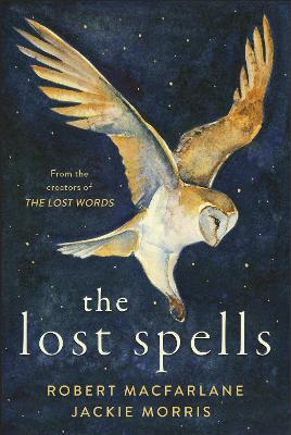 Cover: The Lost Spells