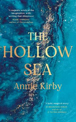 Cover: The Hollow Sea