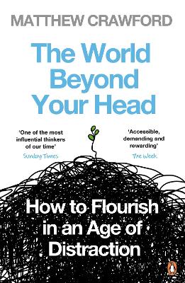 Cover: The World Beyond Your Head