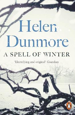 Cover: A Spell of Winter