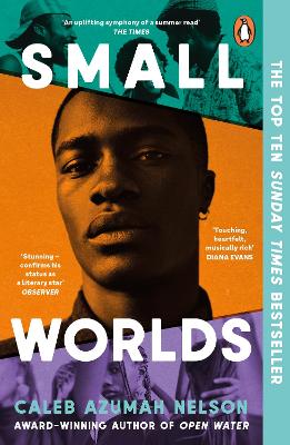 Cover: Small Worlds