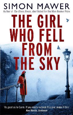 Image of The Girl Who Fell From The Sky