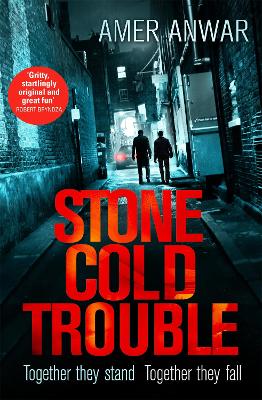 Cover: Stone Cold Trouble
