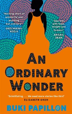Cover: An Ordinary Wonder