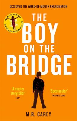 Cover: The Boy on the Bridge