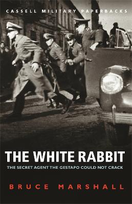 Image of The White Rabbit