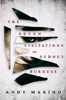 Cover: The Seven Visitations of Sydney Burgess