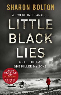 Cover: Little Black Lies