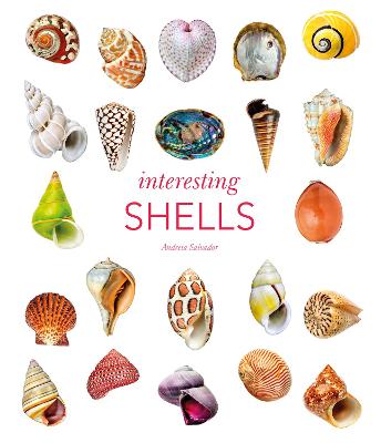 Image of Interesting Shells