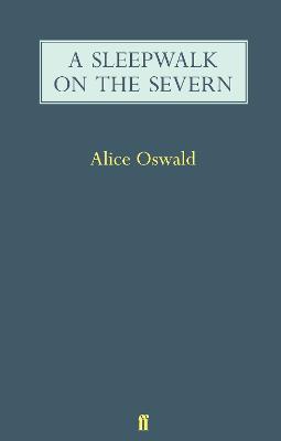 Cover: A Sleepwalk on the Severn