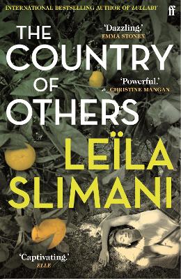 Cover: The Country of Others