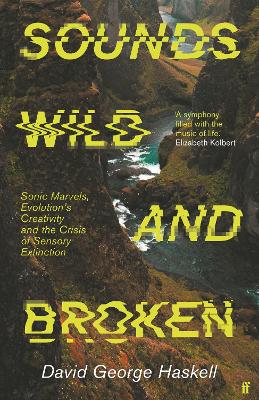 Cover: Sounds Wild and Broken