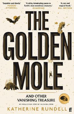 Image of The Golden Mole
