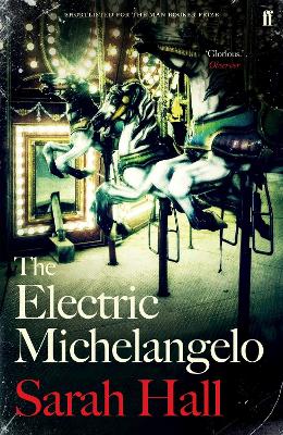 Image of The Electric Michelangelo