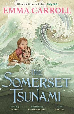 Cover: The Somerset Tsunami