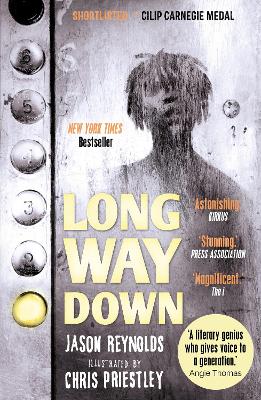 Cover: Long Way Down