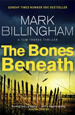Cover: The Bones Beneath