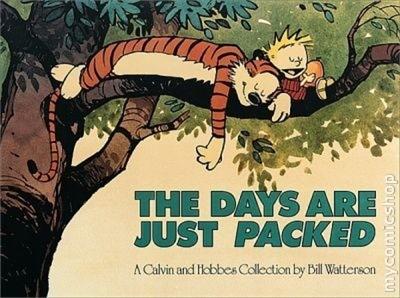 Cover: The Days Are Just Packed