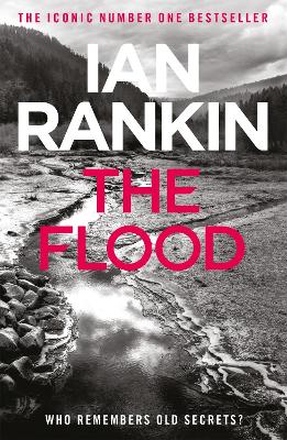 Cover: The Flood