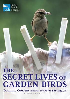 Image of The Secret Lives of Garden Birds