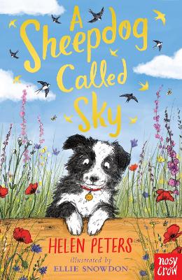 Cover: A Sheepdog Called Sky