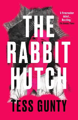 Cover: The Rabbit Hutch