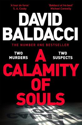 Cover: A Calamity of Souls