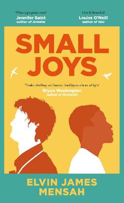 Cover: Small Joys